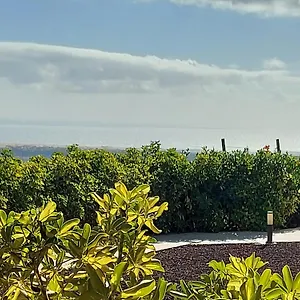 The Black Horse Canarias - Adults Only Country house